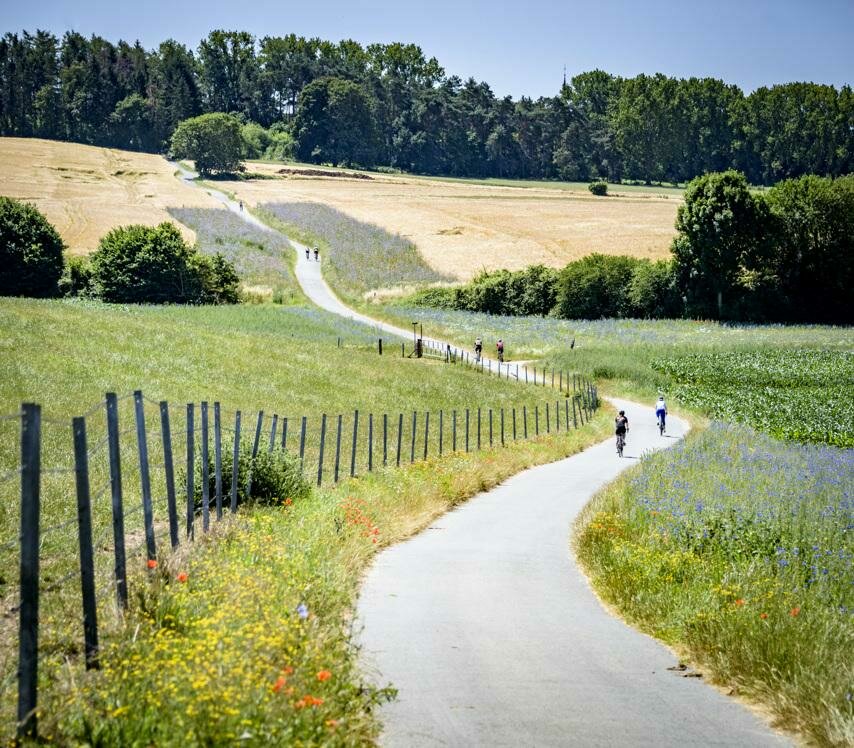 Vlaams-Brabant
